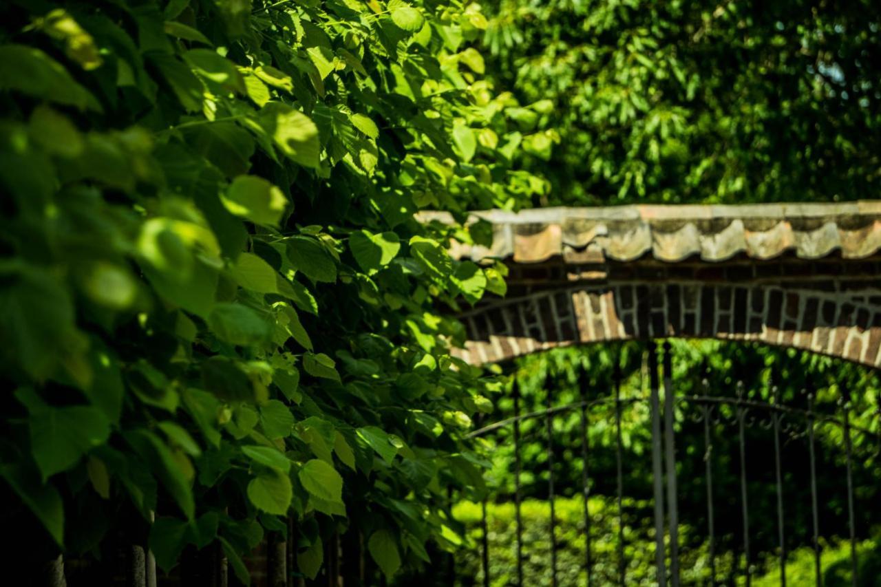 A Casa Nostra - Huiselijk En Gezellig Overnachten - Exclusief Ontbijt Well  Εξωτερικό φωτογραφία